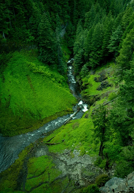Orman yangın koruması için CCTV kamera uygulaması