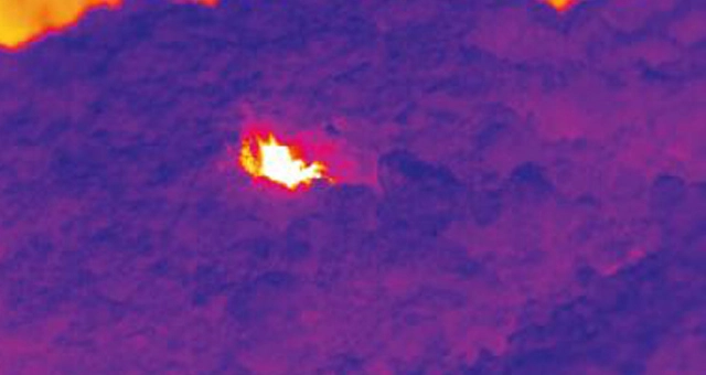 Termal görüntüleme