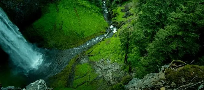 Orman yangın koruması için CCTV kamera uygulaması